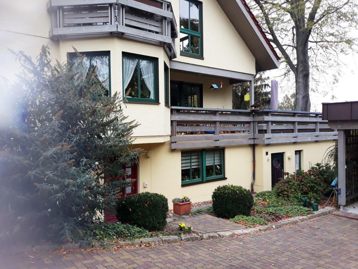 Ferienwohnung Oberloschwitz ドレスデン エクステリア 写真