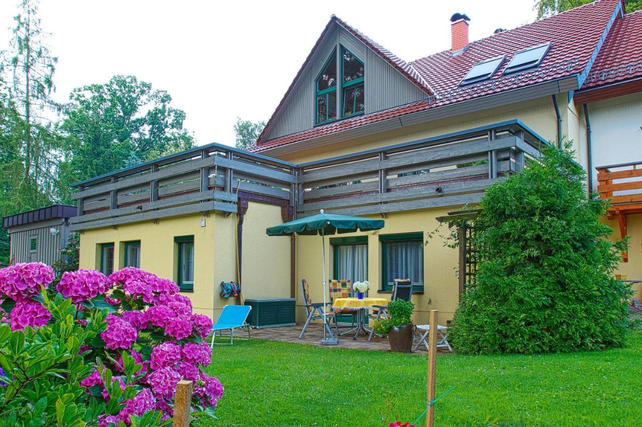 Ferienwohnung Oberloschwitz ドレスデン エクステリア 写真